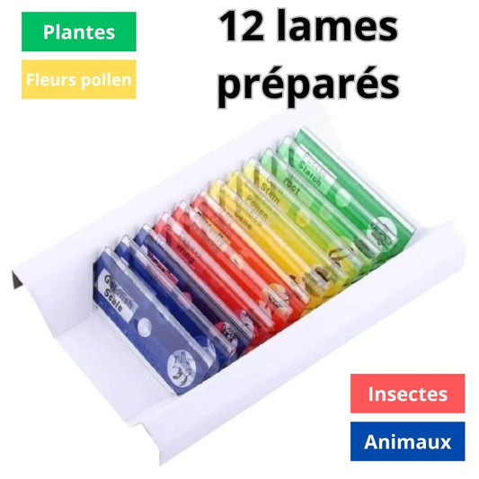 Coffret de lames de Microscope préparées 12 pièces