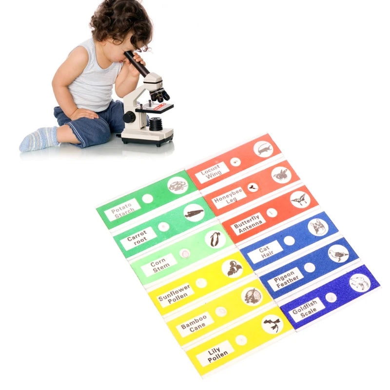 Coffret de lames de Microscope préparées 12 pièces
